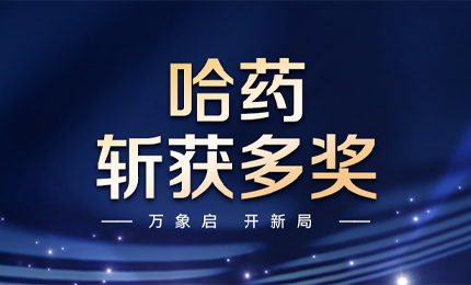 【喜讯】万象启，开新局，总斩获多枚奖项